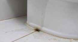detecting hidden water leaks