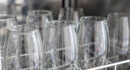 dishwasher glassware film buildup