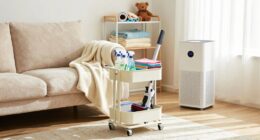 pet friendly deep cleaning