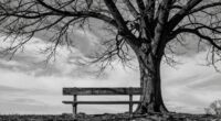 use light and dark tones