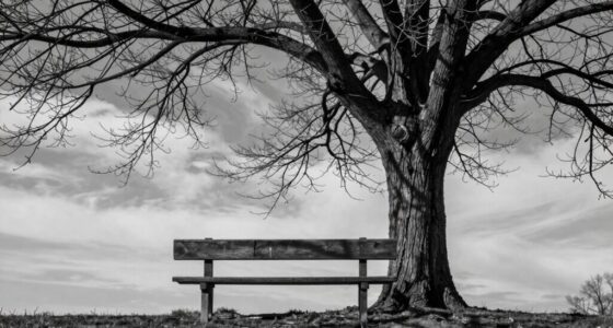 use light and dark tones