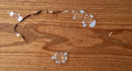 veneer bubbling and lifting