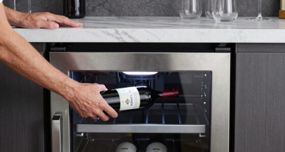10 Best Best Wine Fridge Dual Zone for Home Bar in 2026
