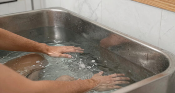 13 Best Cold Plunge Tub for Home Recovery in 2026