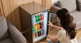 8 Best Beverage Refrigerator for Entertainment Room in 2026