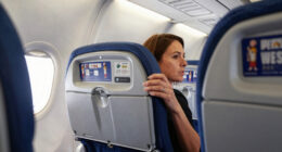 Ryanair Plane Emergency Landing